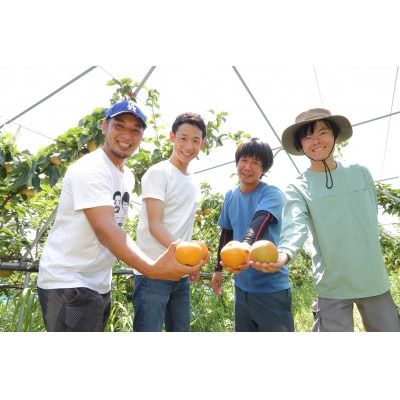 【先行予約】【数量限定】淡海なし　甘太　3kg箱入り(サイズ:2L～7L　5～10個入り)