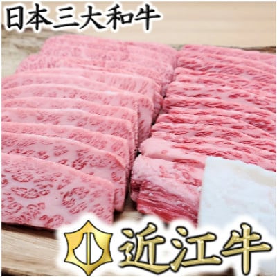 【総本家　肉のあさの】5等級近江牛焼肉用(肩ロース・バラ)500g【AE12U】