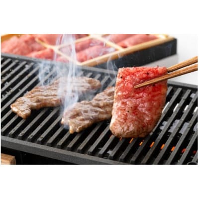 【総本家　肉のあさの】5等級近江牛焼肉用(肩ロース・バラ)500g【AE12U】