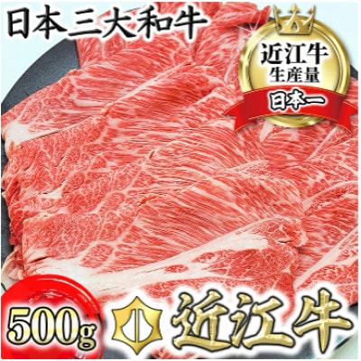 【総本家　肉のあさの】近江牛肩ロースすき焼き用 500g(250g×2)【AE16U】