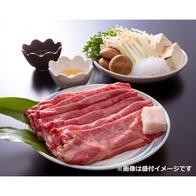 【総本家　肉のあさの】近江牛肩ロースすき焼き用 500g(250g×2)【AE16U】