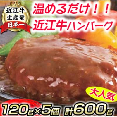 【総本家肉のあさの】近江牛ハンバーグ 600g(120g×5個)【AE14U】