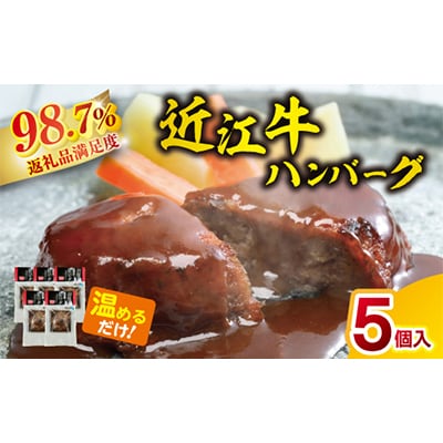 【総本家肉のあさの】近江牛ハンバーグ 600g(120g×5個)【AE14U】