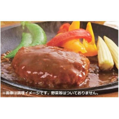 【総本家肉のあさの】近江牛ハンバーグ 600g(120g×5個)【AE14U】