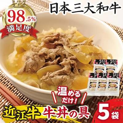 【総本家肉のあさの】近江牛丼の具 700g(140g×5個)【AE09U】