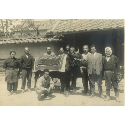 【総本家　肉のあさの】5等級近江牛カットステーキ(もも)500g【AE13U】