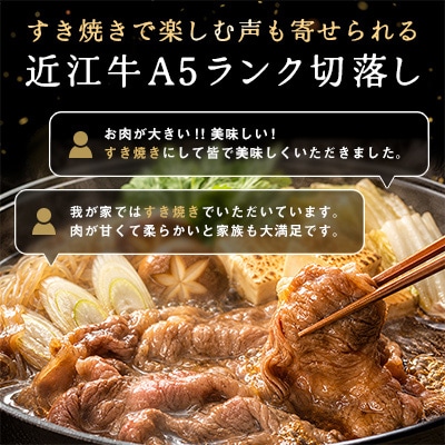 近江牛A5ランク切落し【500g】【高リピート多数】【訳あり】