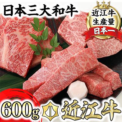 近江牛A5ランク厳選カットステーキ3種【600g】【DG03SM2】