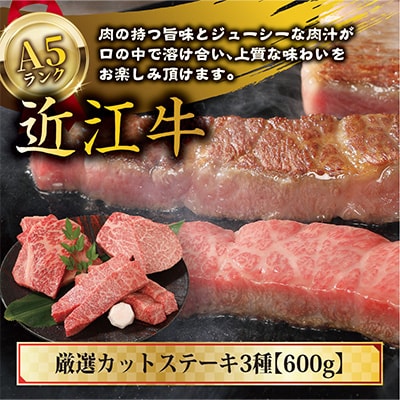 近江牛A5ランク厳選カットステーキ3種【600g】【DG03SM2】