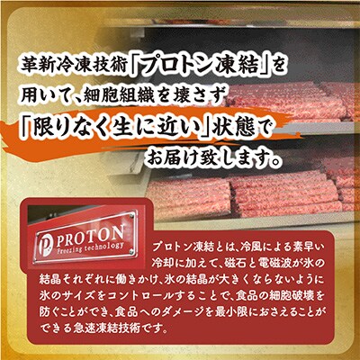 近江牛A5ランクサーロインブロック【800g】【DG09SM1】