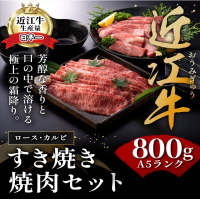 近江牛A5ランク焼肉・すき焼セット【800g】【DG11SM】