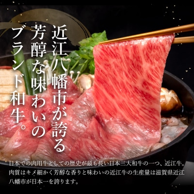 近江牛A5ランク焼肉・すき焼セット【800g】【DG11SM】