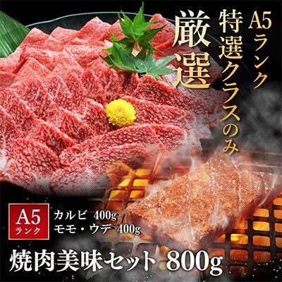 近江牛A5ランク焼肉美味セット【800g】【DG10SM】