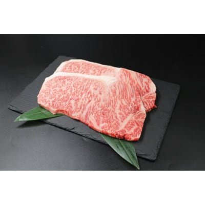 【毎月定期便】極上 近江牛 味わい尽くし 牛脂つき【冷蔵】全4回