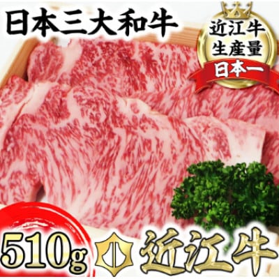 【近江牛　毛利志満】近江牛　サーロインステーキ 510g(170g×3枚)【S025】