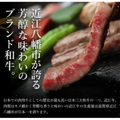 【近江牛　毛利志満】近江牛　鉄板焼・焼肉用 400g【S027】