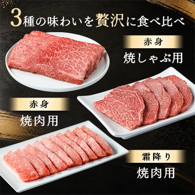 【近江牛　毛利志満】近江牛焼肉3点盛セット 450g【S034】