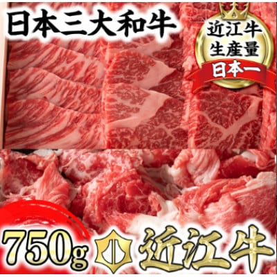 【近江牛　毛利志満】近江牛焼肉用 400g・こま切れ 350g(計750g)【S035】
