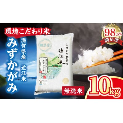 【5年産】近江米 環境こだわり栽培 みずかがみ 無洗米 【10kg×1】