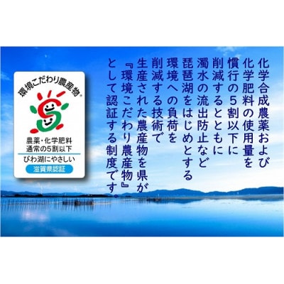 【5年産】近江米 環境こだわり栽培 みずかがみ 無洗米 【10kg×1】