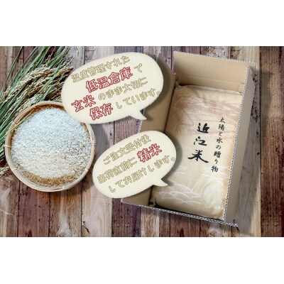 【5年産】近江米 環境こだわり栽培 ミルキークイーン 無洗米 【10kg×1】