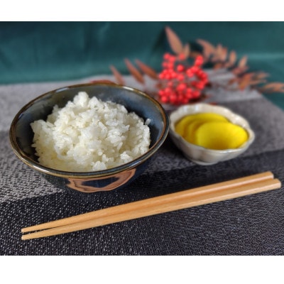 【7年産】近江米 環境こだわり米 コシヒカリ 無洗米 【5kg×1】