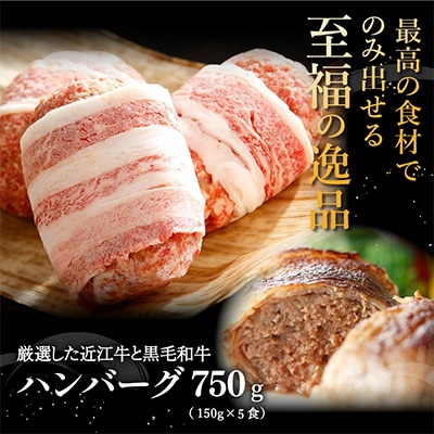 【カネ吉山本】特選黒毛和牛/近江牛 プレミアムハンバーグ 5個箱入【750g(約150g×5個)】