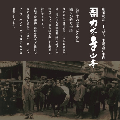 カネ吉山本の近江牛[吟] ステーキ用 サーロイン(400g[約 200g×2枚])