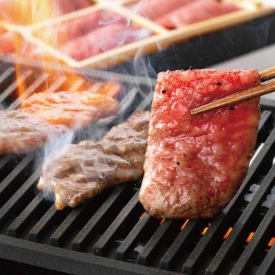 カネ吉山本の近江牛　赤身・焼肉6種盛り合わせ(彩)<420g>