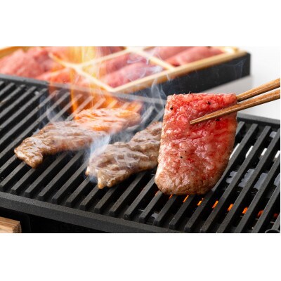 カネ吉山本の近江牛　焼肉6種盛り合わせ(極)【420g】