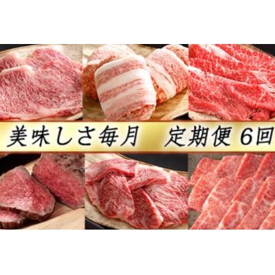 【毎月定期便】【カネ吉山本】近江牛 おいしさ毎月便-喜-全6回