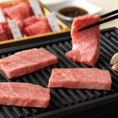 【毎月定期便】【カネ吉山本】近江牛 おいしさ毎月便-喜-全6回