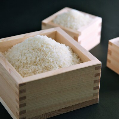 【令和4年産】近江米にこまる　白米10kg(5kg×2袋)