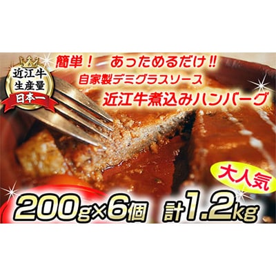 近江牛煮込みハンバーグ　自家製デミグラスソース　【1200g(200g×6個)】