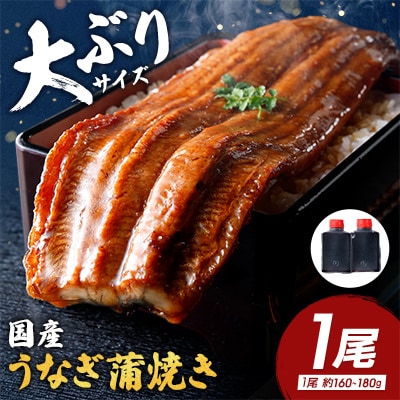 【一度食べたらやみつき!リピート多数】うなぎ蒲焼1尾