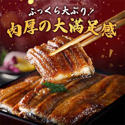 【一度食べたらやみつき!リピート多数】うなぎ蒲焼1尾