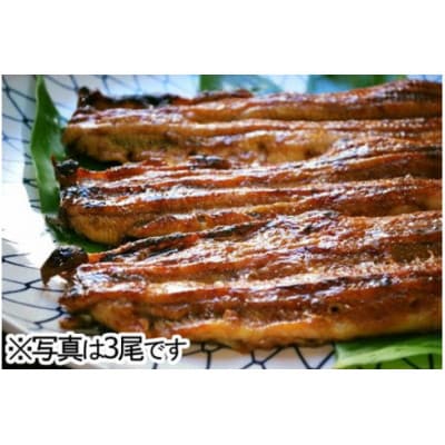 【一度食べたらやみつき!リピート多数】うなぎ蒲焼1尾
