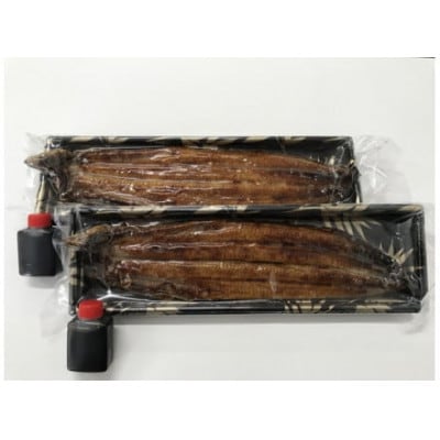 【一度食べたらやみつき!リピート多数】うなぎ蒲焼2尾
