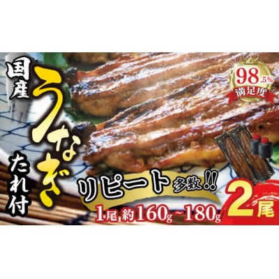 【一度食べたらやみつき!リピート多数】うなぎ蒲焼2尾
