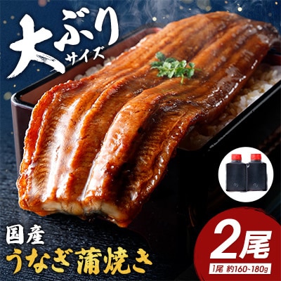【一度食べたらやみつき!リピート多数 】うなぎ蒲焼2尾セット