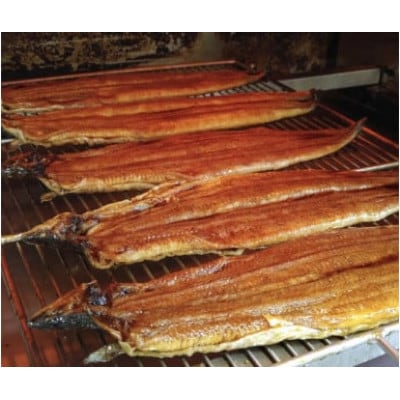 【一度食べたらやみつき!リピート多数】うなぎ蒲焼2尾