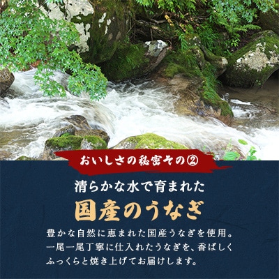【一度食べたらやみつき!リピート多数 】うなぎ蒲焼2尾セット