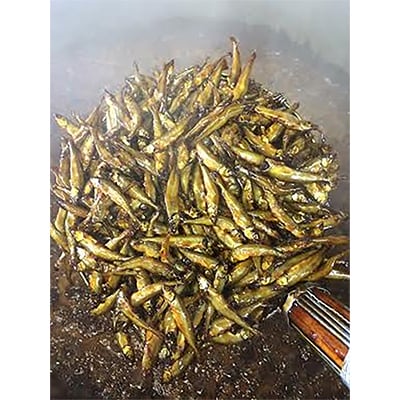 【淡海のふるさとの香り高い味】近江ふるさとの味セット(6種)