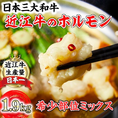 希少近江牛ホルモン&ミックスホルモン 合計1.9kg  もつ鍋や焼肉にも