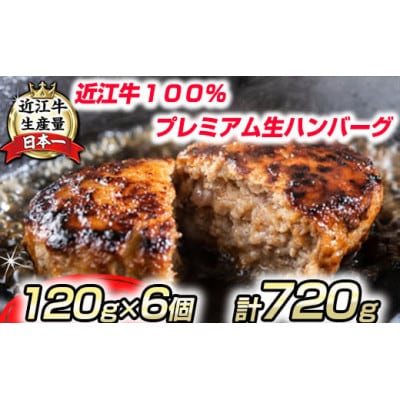 近江牛100%　プレミアム生ハンバーグ720g(約120g×6個)個包装　プレゼントにも