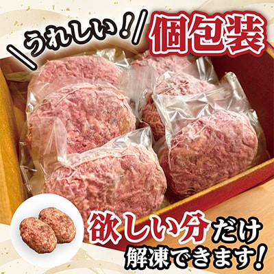 近江牛100%【無添加】食べ応え抜群!超あらびきワイルドハンバーグ　720g(約120g×6個)