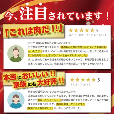 近江牛100%【無添加】食べ応え抜群!超あらびきワイルドハンバーグ1.2kg(約120g×10個)