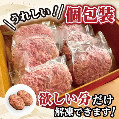 近江牛100%　プレミアム生ハンバーグ1.2kg(約120g×10個)個包装