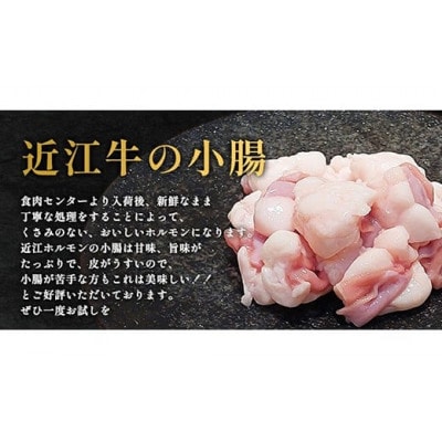 味付けホルモン 秘伝のタレ漬け 近江牛小腸 1,800g(300g×6) 自家製ダレ(FO75)