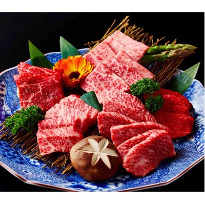 【2ヵ月毎定期便】2か月に1回お届け　近江牛焼肉部位食べ比べ全6回